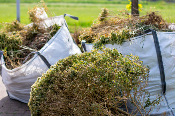 Best Same-Day Junk Removal  in Sweet Springs, MO